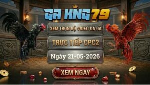 Xem Full Clip Đá Gà Bồ CPC2 Ngày 21/05/2026
