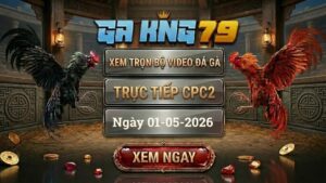Xem Full Clip Đá Gà CPC2 Ngày 01/05/2026