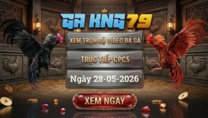 Xem Full Video Đá Gà CPC5 28/5/2026