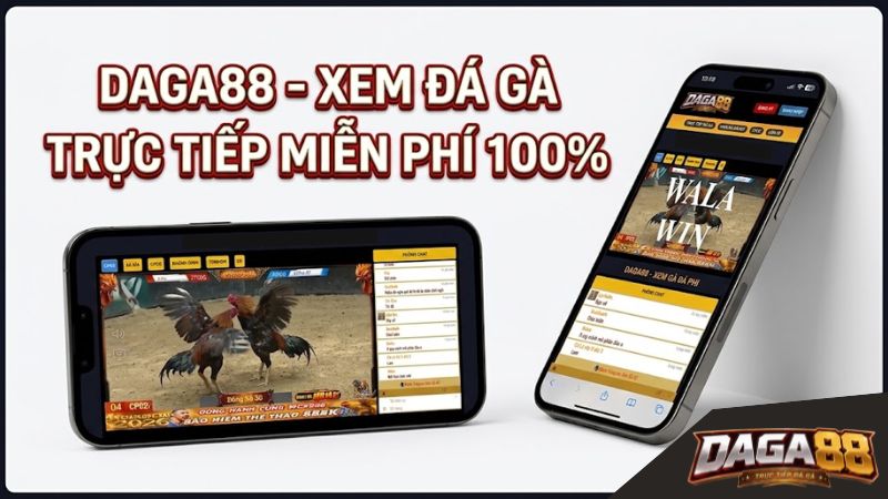DAGA88 - Xem Đá Gà Trực Tiếp Miễn Phí 100% DAGA88 - Xem Đá Gà Trực Tiếp Miễn Phí 100%