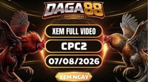 Xem Full Clip Đá Gà CPC2 Ngày 07/08/2026 Tại DAGA88