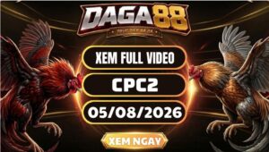 Xem Full Video Đá Gà CPC2 Ngày 05/08/2026 Tại DAGA88