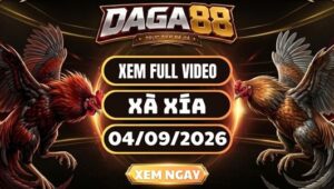 Xem Full Video Đá Gà Xà Xía Ngày 4/9/2026 Trên DAGA88